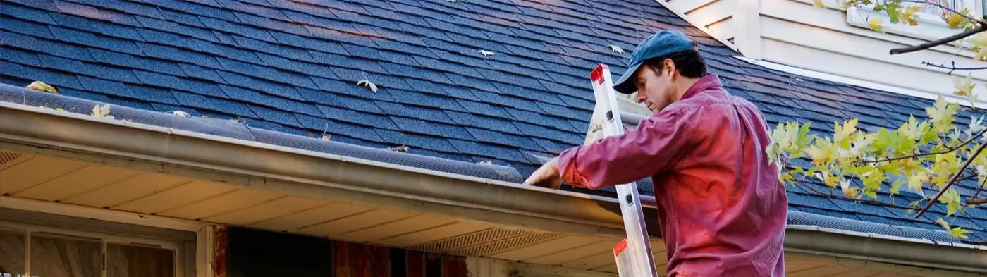 Gutter Cleaning
